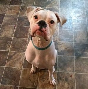 Meet your Posher, Leah